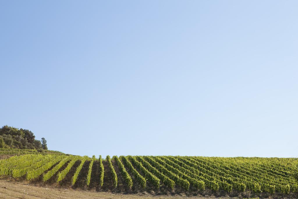 Quercia Al Poggio Villa Barberino di Val dʼElsa Exteriör bild